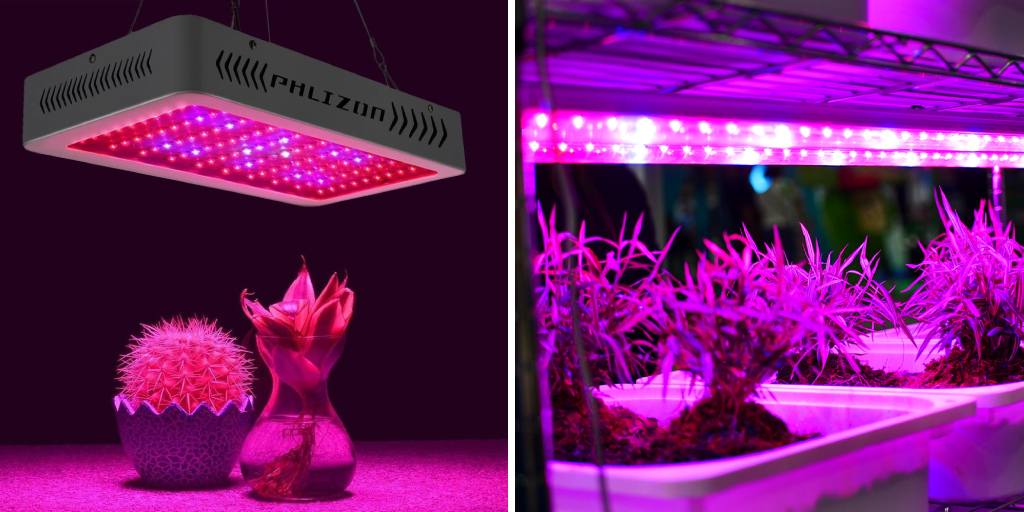 How to Clean Led Grow Lights - 6 Effective Steps (2024)