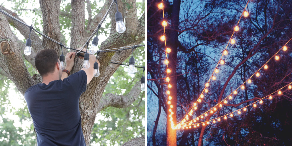 How to Attach String Lights to Tree 7 Easy Guides (2024)